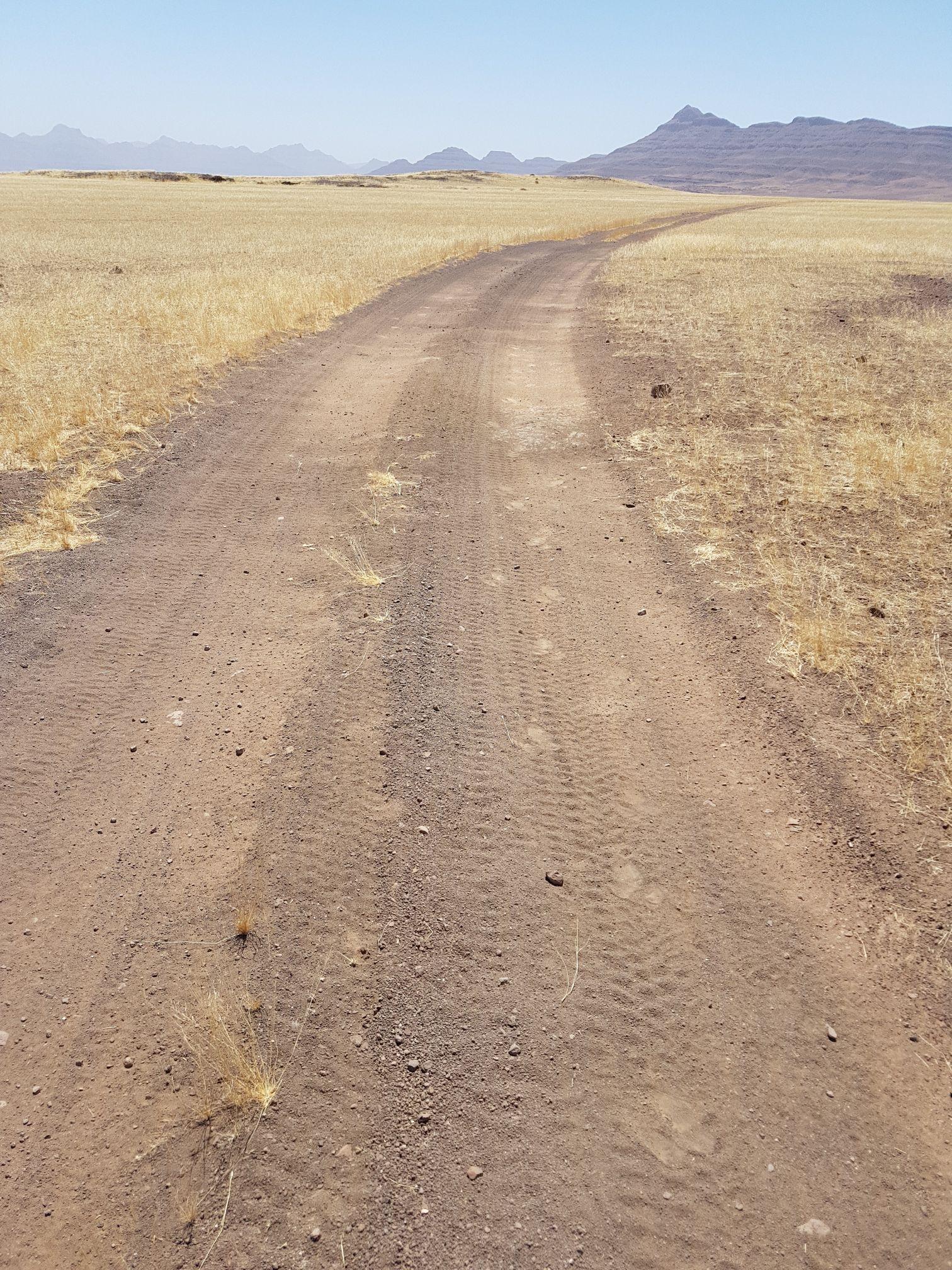 Rhino Track